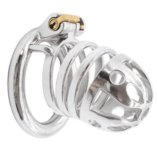 Gabbia Di Castita Metallo Prettydick L