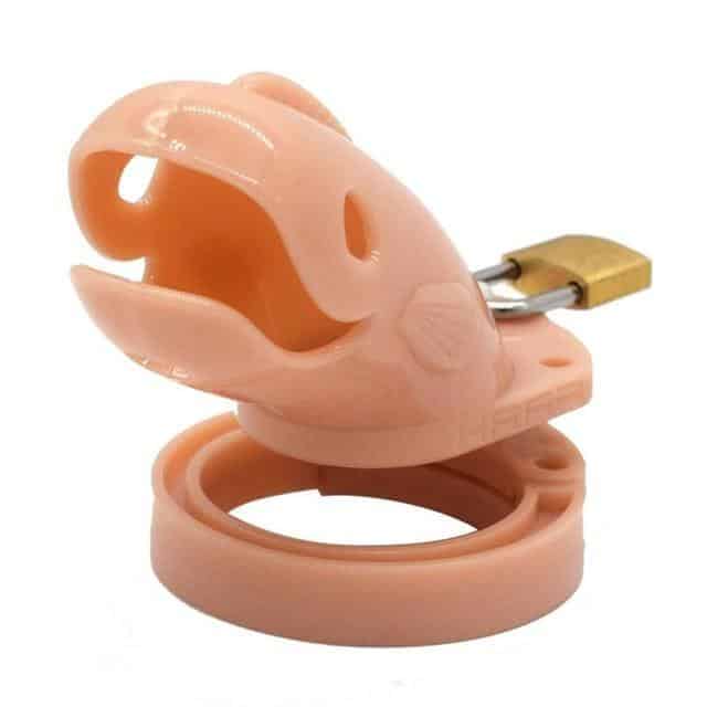 Gabbia Di Castita Plastica Il Pesce Aurora