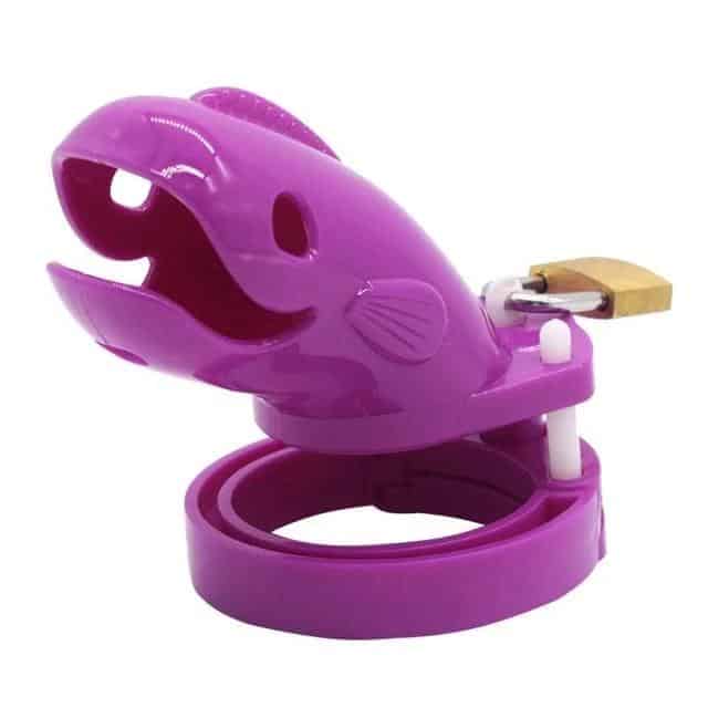 Gabbia Di Castita Plastica Il Pesce Viola