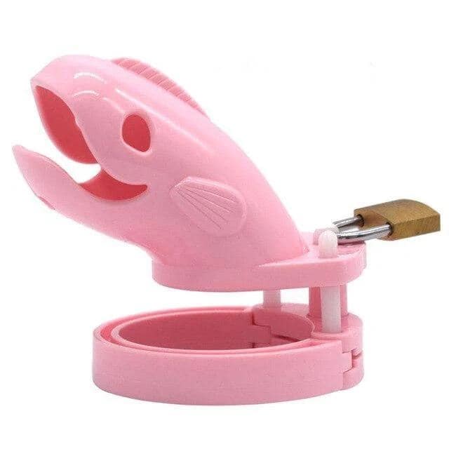 Gabbia Di Castita Plastica Il Pesce Rosa